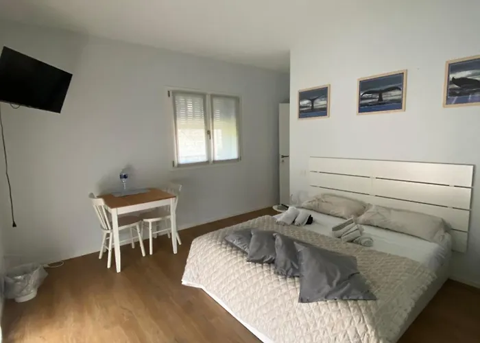 Room259 特雷维索